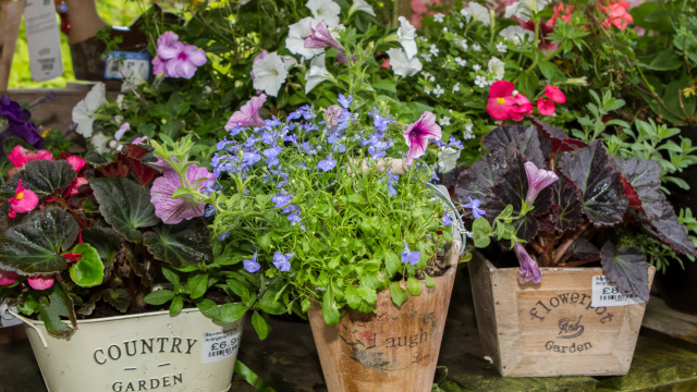 Bay View Garden Centre