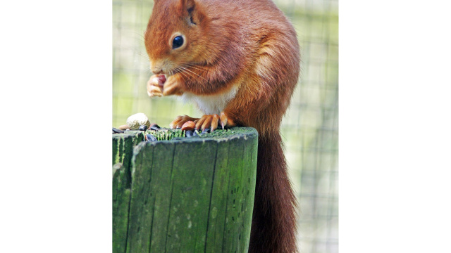 Lakeland Wildlife Oasis, Near Milnthorpe