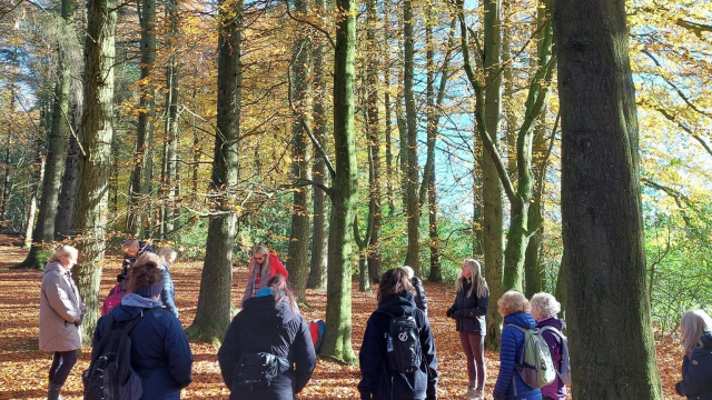 Forest of Bowland Walks